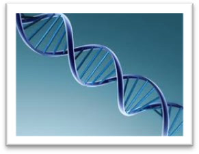 ADN y su forma de antena electromagnética